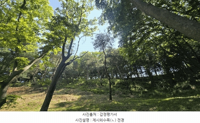 2025타경675 경상남도 사천시 곤명면 삼정리 산40-1 임야 경매 이미지