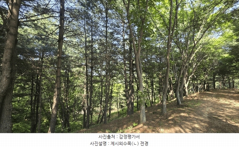 2025타경675 경상남도 사천시 곤명면 삼정리 산40-1 임야 경매 이미지
