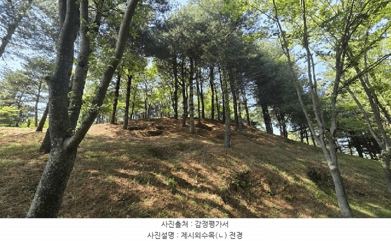 2025타경675 경상남도 사천시 곤명면 삼정리 산40-1 임야 경매 이미지
