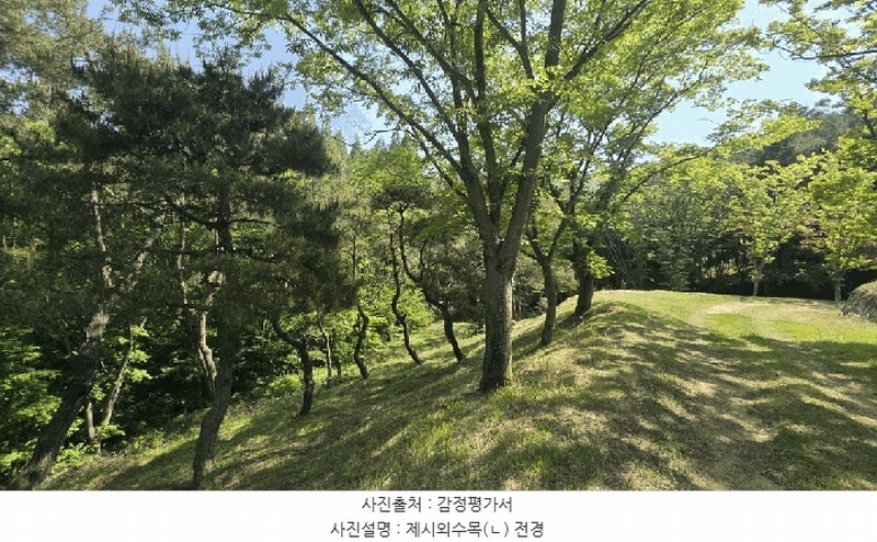 2025타경675 경상남도 사천시 곤명면 삼정리 산40-1 임야 경매 이미지