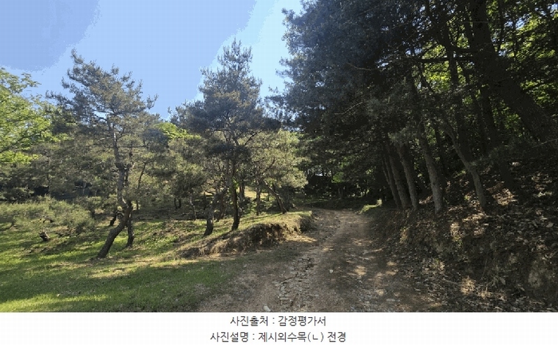 2025타경675 경상남도 사천시 곤명면 삼정리 산40-1 임야 경매 이미지