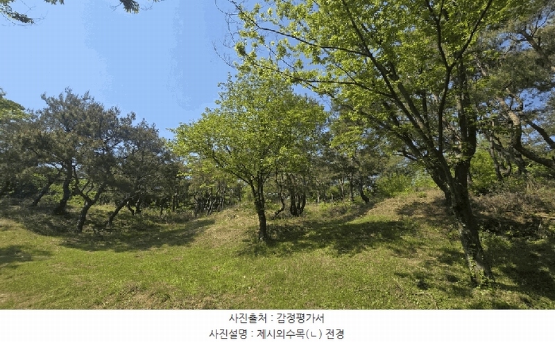 2025타경675 경상남도 사천시 곤명면 삼정리 산40-1 임야 경매 이미지