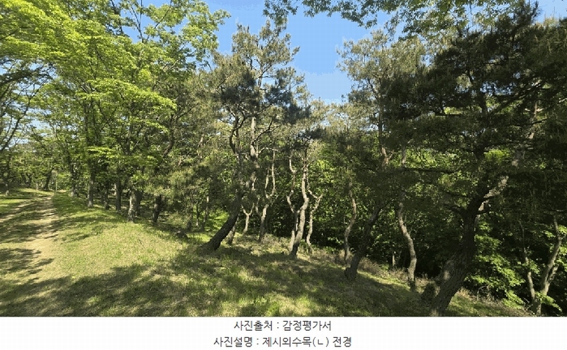 2025타경675 경상남도 사천시 곤명면 삼정리 산40-1 임야 경매 이미지