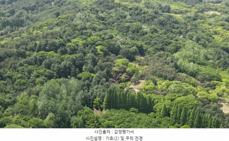 2025타경675 경상남도 사천시 곤명면 삼정리 산40-1 임야 경매 이미지