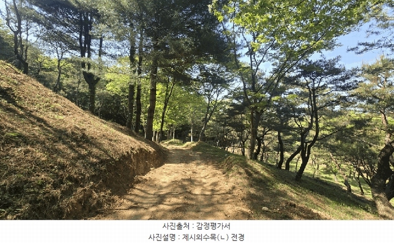2025타경675 경상남도 사천시 곤명면 삼정리 산40-1 임야 경매 이미지
