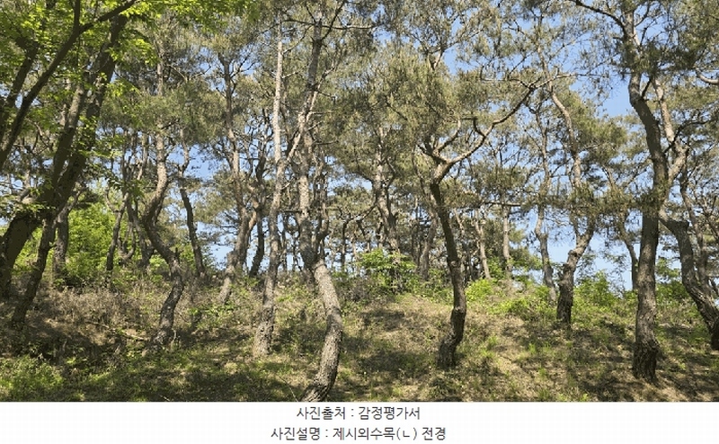 2025타경675 경상남도 사천시 곤명면 삼정리 산40-1 임야 경매 이미지