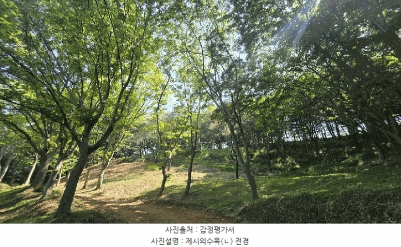 2025타경675 경상남도 사천시 곤명면 삼정리 산40-1 임야 경매 이미지