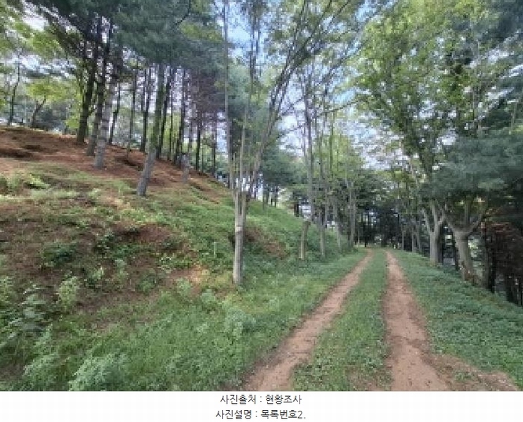 2025타경675 경상남도 사천시 곤명면 삼정리 산40-1 임야 경매 이미지