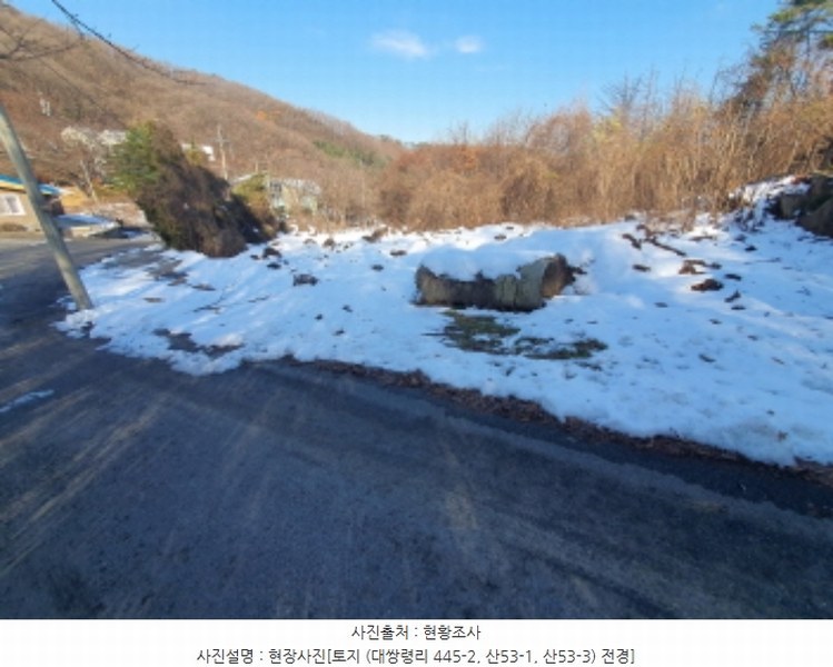 2024타경70321 경기도 광주시 초월읍 대쌍령리 445-2 임야 경매 이미지