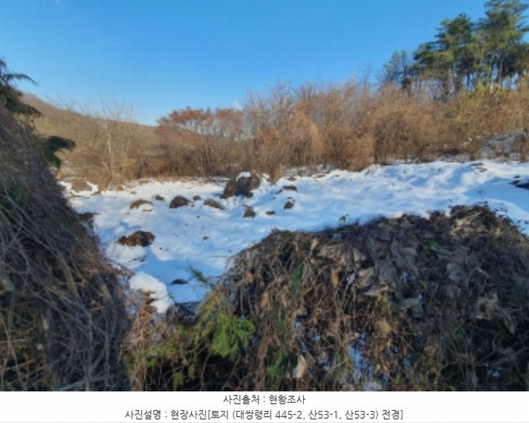 2024타경70321 경기도 광주시 초월읍 대쌍령리 445-2 임야 경매 이미지
