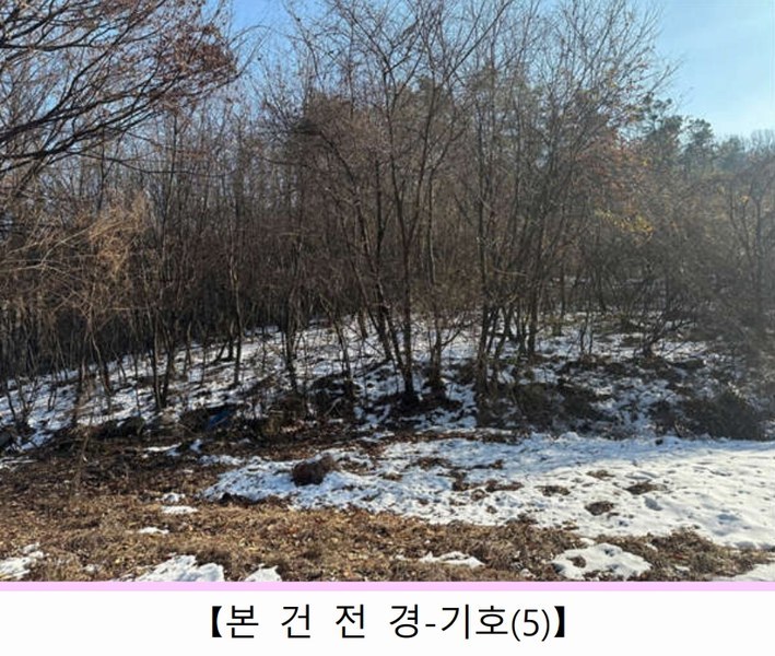 2024타경70321 경기도 광주시 초월읍 대쌍령리 445-2 임야 경매 이미지