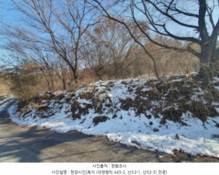 2024타경70321 경기도 광주시 초월읍 대쌍령리 445-2 임야 경매 이미지