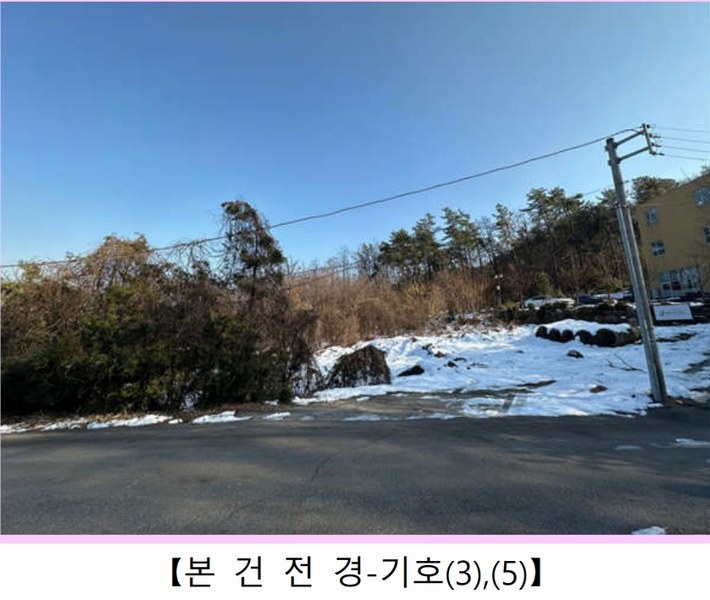 2024타경70321 경기도 광주시 초월읍 대쌍령리 445-2 임야 경매 이미지