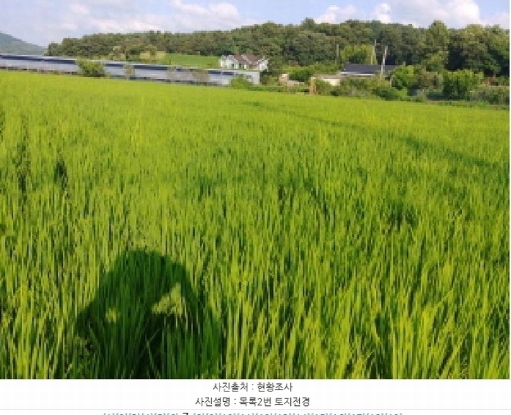 2025타경503034 충청남도 금산군 금성면 양전리 936 농지 경매 이미지