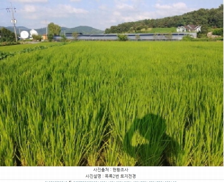 2025타경503034 충청남도 금산군 금성면 양전리 936 농지 경매 이미지