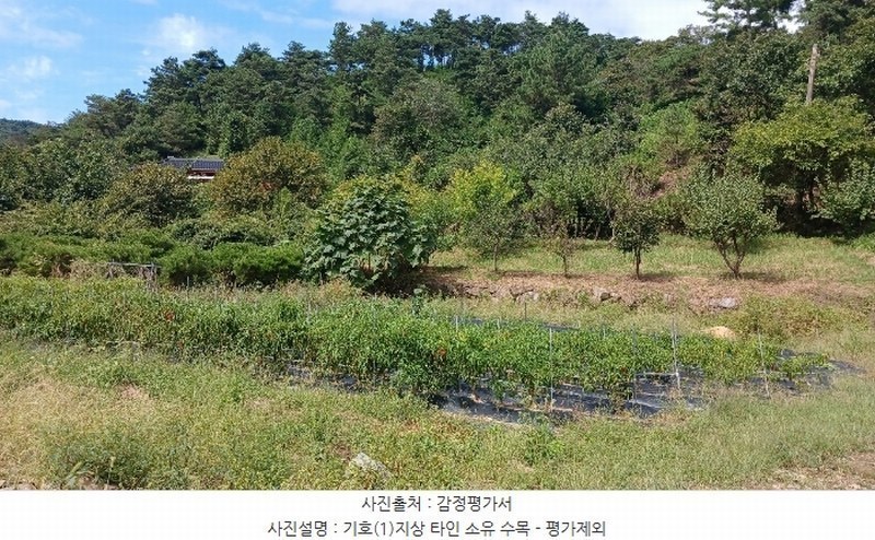 2024타경11885 경상남도 합천군 쌍백면 장전리 407 농지 경매 이미지