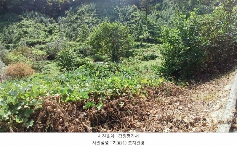 2024타경11885 경상남도 합천군 쌍백면 장전리 407 농지 경매 이미지