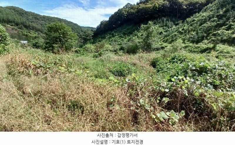 2024타경11885 경상남도 합천군 쌍백면 장전리 407 농지 경매 이미지