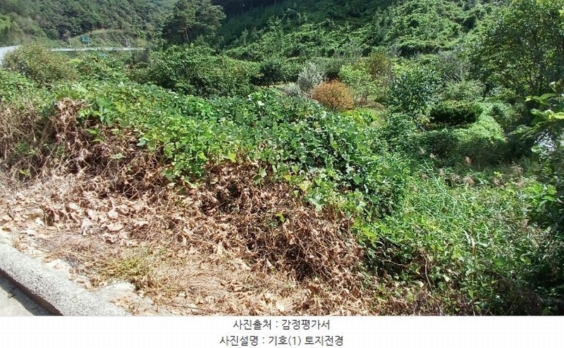 2024타경11885 경상남도 합천군 쌍백면 장전리 407 농지 경매 이미지