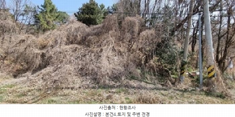 2025타경11221 경상남도 창원시 의창구 용동 산2-2 임야 경매 이미지