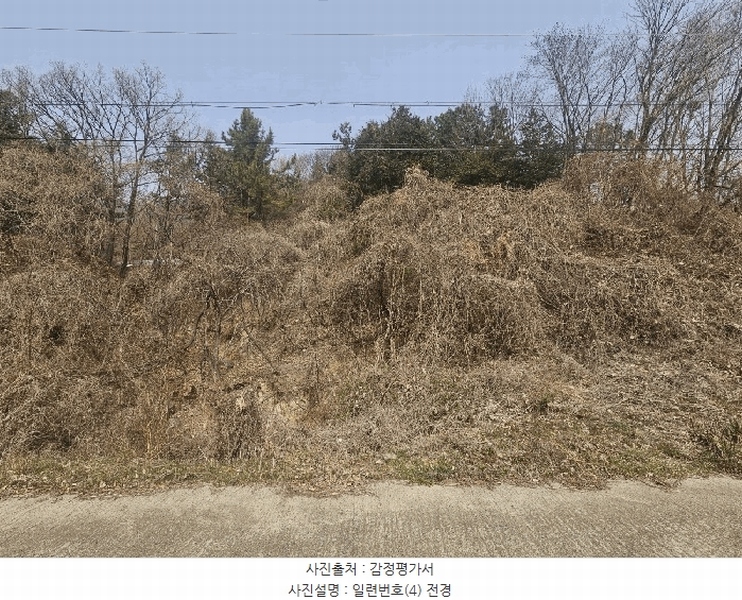 2025타경11221 경상남도 창원시 의창구 용동 산2-2 임야 경매 이미지