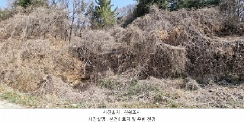 2025타경11221 경상남도 창원시 의창구 용동 산2-2 임야 경매 이미지