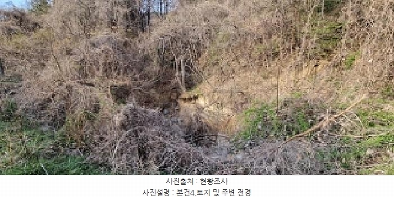 2025타경11221 경상남도 창원시 의창구 용동 산2-2 임야 경매 이미지