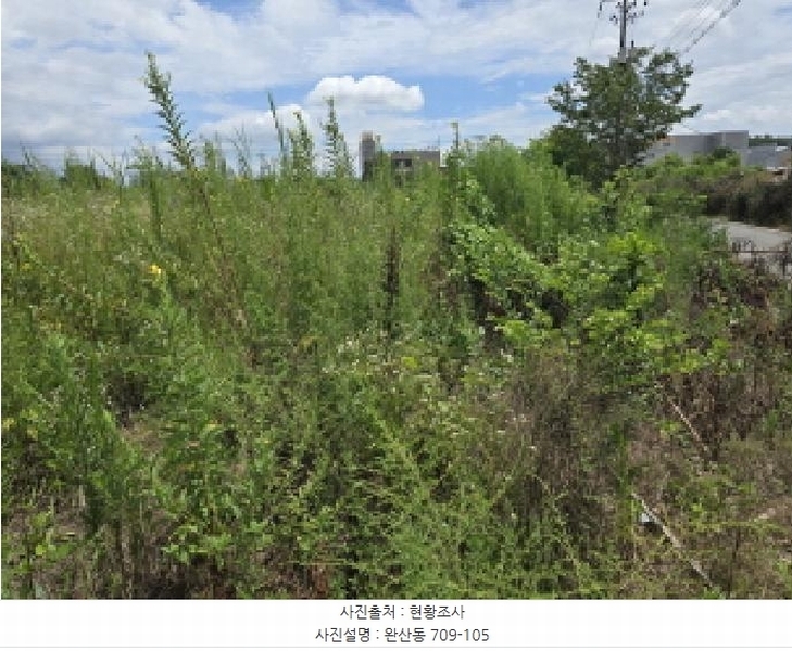 2025타경9393 경상북도 영천시 완산동 709-105 과수원 경매 이미지