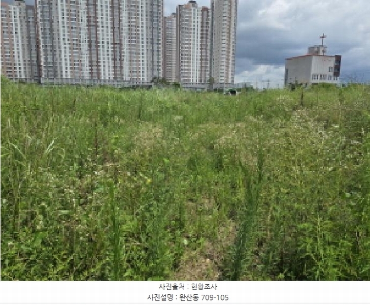 2025타경9393 경상북도 영천시 완산동 709-105 과수원 경매 이미지