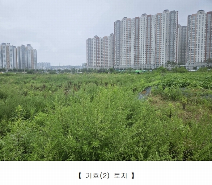 2025타경9393 경상북도 영천시 완산동 709-105 과수원 경매 이미지