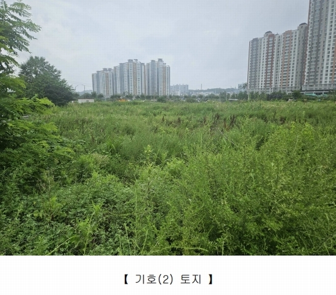 2025타경9393 경상북도 영천시 완산동 709-105 과수원 경매 이미지