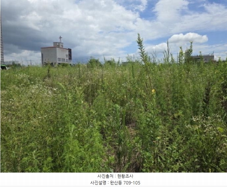 2025타경9393 경상북도 영천시 완산동 709-105 과수원 경매 이미지