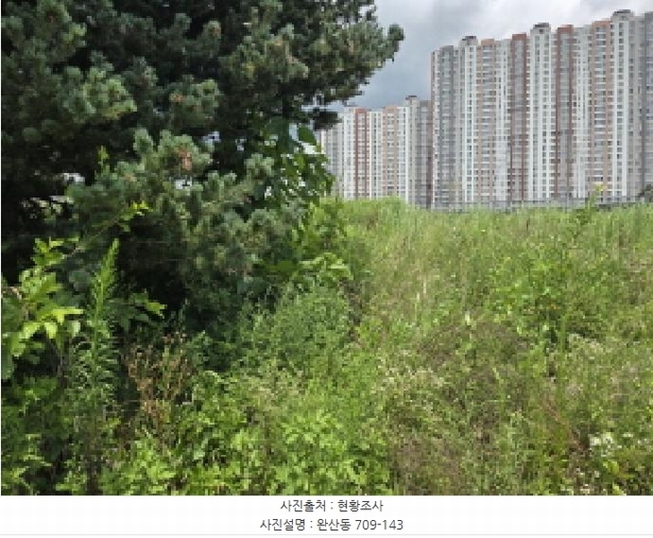 2025타경9393 경상북도 영천시 완산동 709-105 과수원 경매 이미지