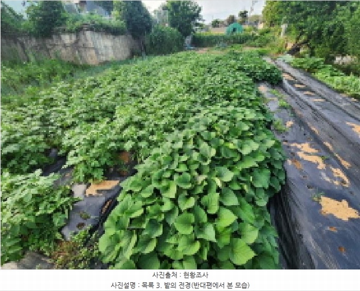 2025타경56495 경기도 화성시 장안면 장안리 1075-59 농지 경매 이미지