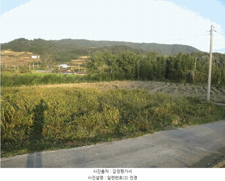 2025타경5979 전라남도 영광군 염산면 상계리 1174-1 농지 경매 이미지