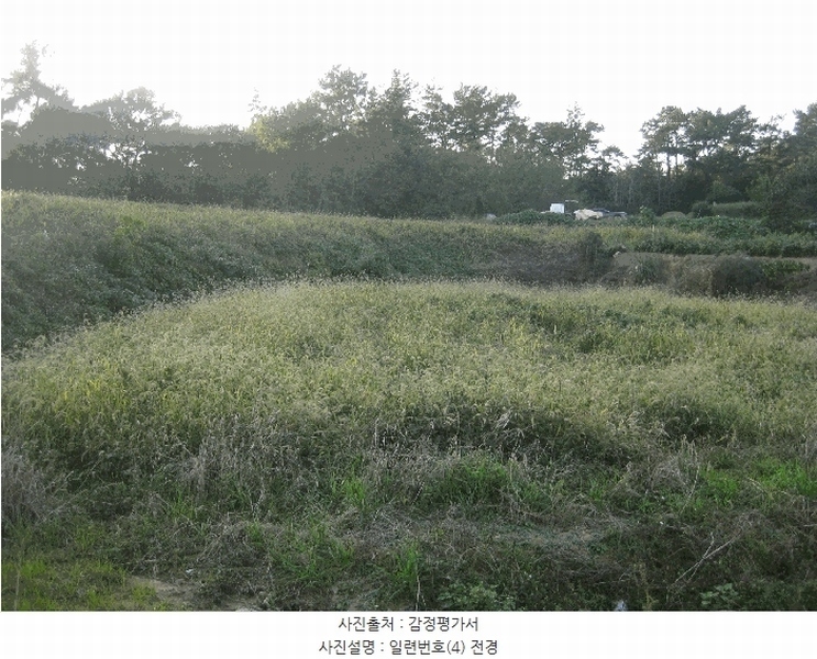 2025타경5979 전라남도 영광군 염산면 상계리 1174-1 농지 경매 이미지