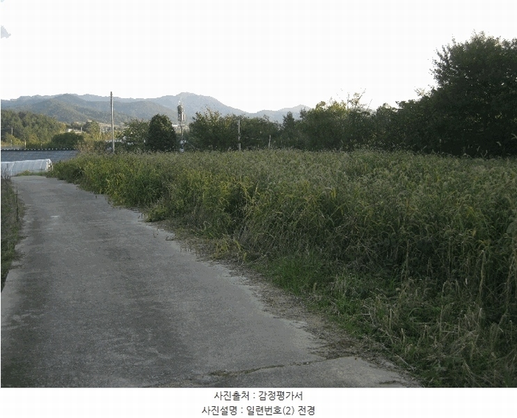 2025타경5979 전라남도 영광군 염산면 상계리 1172-6 농지 경매 이미지
