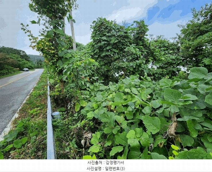 2025타경33881 전라남도 장성군 삼서면 수양리 산63-3 도로 경매 이미지