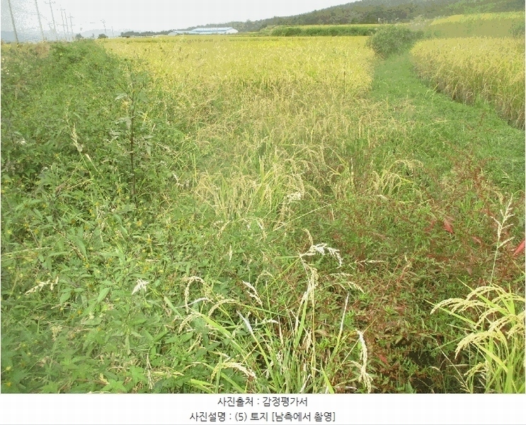 2025타경10612 경상북도 경주시 외동읍 입실리 281-2 농지 경매 이미지