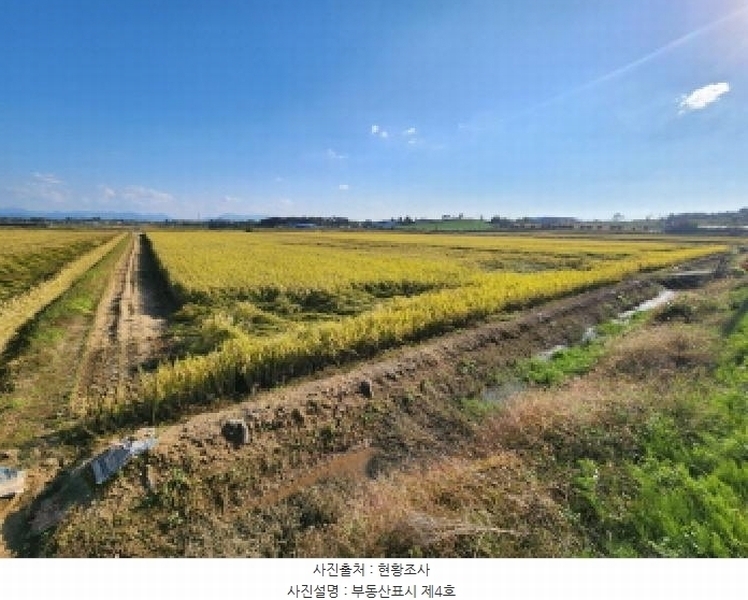 2025타경30397 전북특별자치도 부안군 보안면 상입석리 1092 농지 경매 이미지