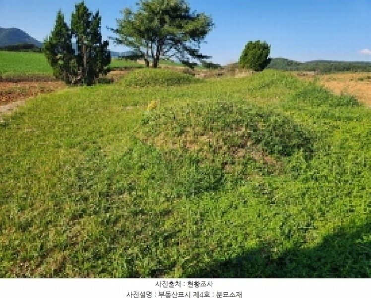 2025타경30397 전북특별자치도 부안군 보안면 상입석리 1092 농지 경매 이미지