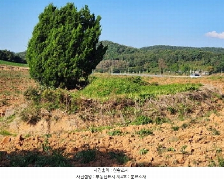 2025타경30397 전북특별자치도 부안군 보안면 상입석리 1092 농지 경매 이미지