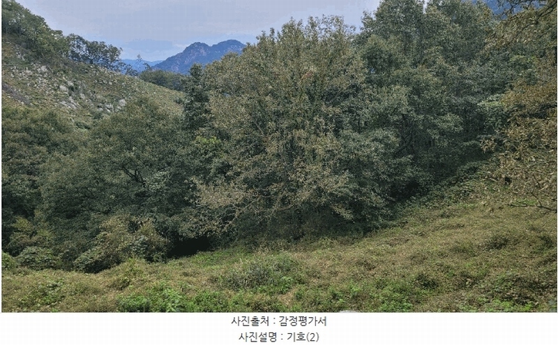 2025타경10337 경상남도 합천군 대병면 상천리 167 농지 경매 이미지