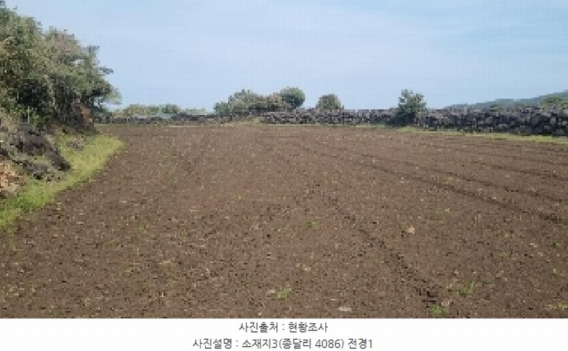 2025타경1068 제주특별자치도 제주시 구좌읍 종달리 4086 농지 경매 이미지