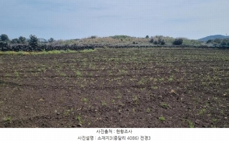 2025타경1068 제주특별자치도 제주시 구좌읍 종달리 4086 농지 경매 이미지