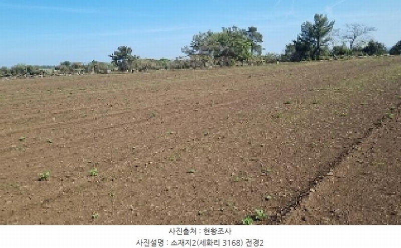 2025타경1068 제주특별자치도 제주시 구좌읍 세화리 3168 농지 경매 이미지