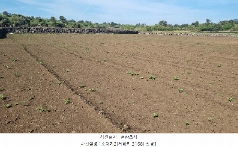 2025타경1068 제주특별자치도 제주시 구좌읍 세화리 3168 농지 경매 이미지