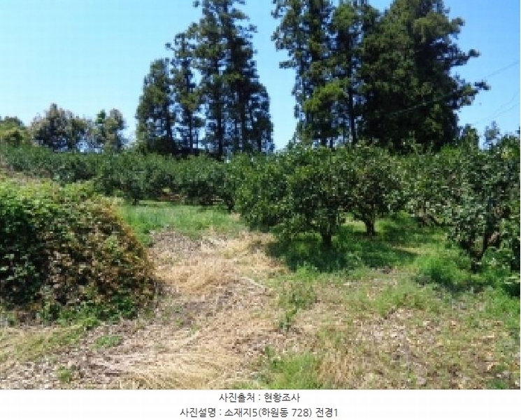 2025타경1202 제주특별자치도 서귀포시 하원동 728 임야 경매 이미지
