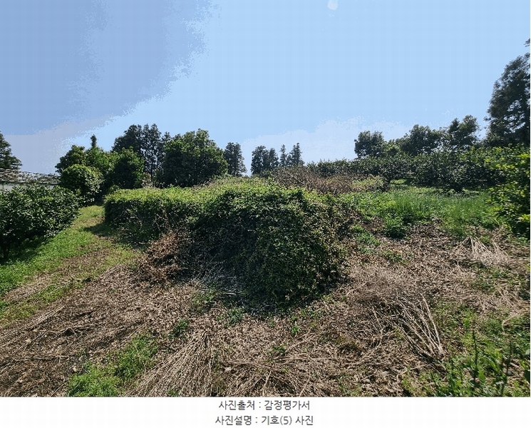 2025타경1202 제주특별자치도 서귀포시 하원동 728 임야 경매 이미지