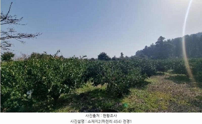 2025타경7688 제주특별자치도 서귀포시 표선면 하천리 454 과수원 경매 이미지
